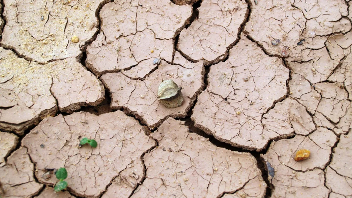 Sécheresse et fissures : ce que couvre (vraiment) la garantie catastrophe naturelle